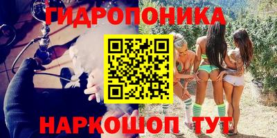 соль ск Дубна