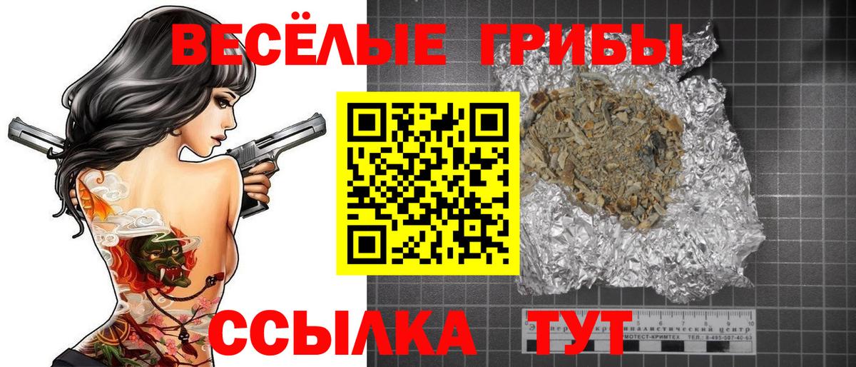 купить   Вход с VPN  Псилоцибиновые грибы Psilocybe  Нововоронеж  Галлюциногенные грибы прущие грибы 